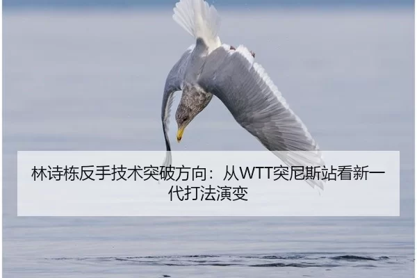 林诗栋反手技术突破方向：从WTT突尼斯站看新一代打法演变